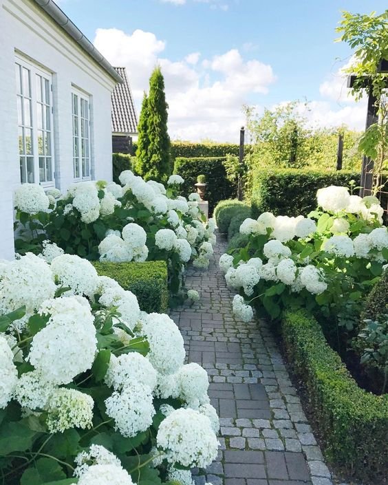 🌸 안조 산업 문화 공원(덴파크) 이미지 8